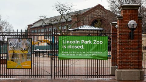 Rumors of zoo animals being set loose are false, Chicago's Lincoln Park Zoo said Monday.