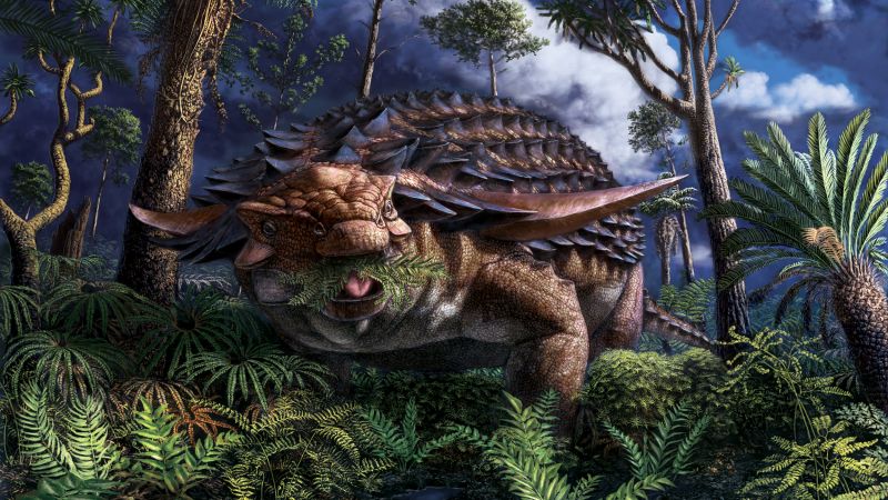 armored dinosaur fossil
