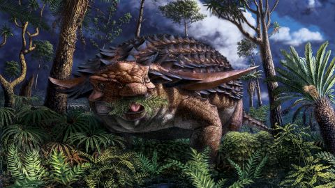 This artist's illustration places the nodosaur in its habitat 110 million years ago.