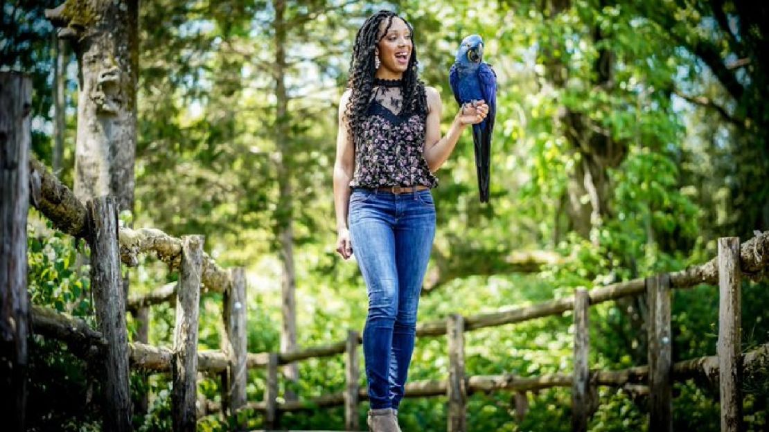 Wildlife conservationist Corina Newsome and Tony, a Hyacinth Macaw.