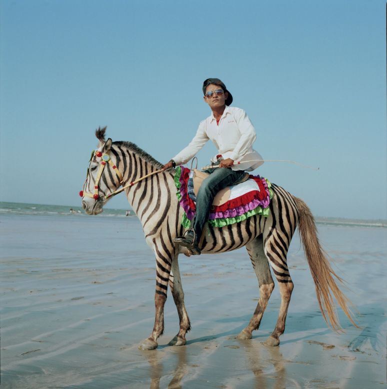 "A Zebra in Myanmar" by Bruce Collier, Chaung Thar, Myanmar.