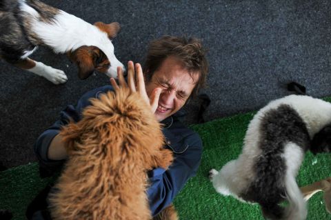 Mikhail Ermakov, an artist and dog trainer with the Great Moscow State Circus, playfully rehearses with his dogs on Thursday, June 4.