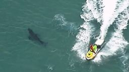 In this image made from aerial video, a jet ski passes over a shark swimming along the coast of Kingscliff, New South Whales, Australia, Sunday, June 7, 2020. A 60-year-old surfer was attacked and killed by a 3-meter (10-foot) shark off the coast of northern New South Wales state on Sunday, Australian police said. (ABC/CH7/CH9 via AP)
