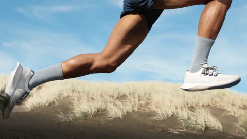 Allbirds Tree Dasher