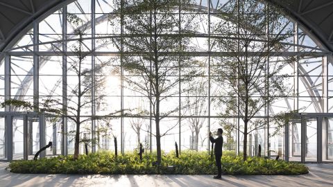 The Crystal, when fully open, will house about 120 trees that will grow up to nine meters tall.
