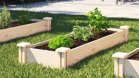 Sol 72 Dontae 4 ft x 1.5 ft Cedar Wood Raised Garden