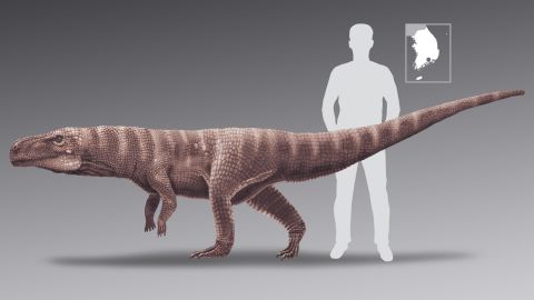 The crocodile would have been up to three meters or 10 feet in length.