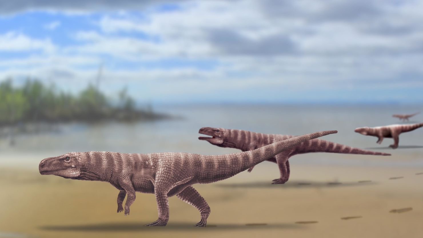 This illustration depicts what the prehistoric two-legged crocodile might have looked like. 