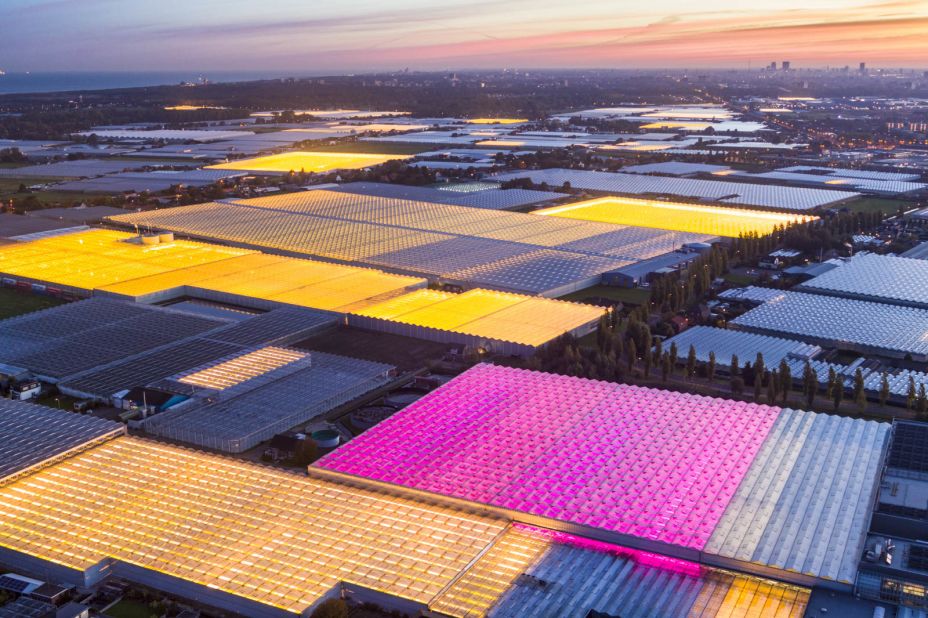 As well as photographing man-made problems, Steinmetz is keen to showcase solutions, such as these cress-growing greenhouses in the Netherlands. Dutch company Koppert Cress says that <a href="https://www.koppertcress.com/en/travel-stories/techniek-de-kas-als-energiebron" target="_blank" target="_blank">by storing excess heat and cold</a> from its greenhouses, it can reduce CO2 emissions. 