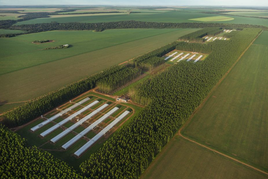 An egg farm in Mato Grosso State, Brazil. This area was part of Brazil's Cerrado -- a mosaic habitat of savanna grassland and forest that is being cleared <a href="https://edition.cnn.com/2019/09/22/americas/brazil-cerrado-soy-intl/index.html" target="_blank">at an alarming rate</a> to make way for cattle ranches and to grow soy. The soy is used to feed livestock or exported.  