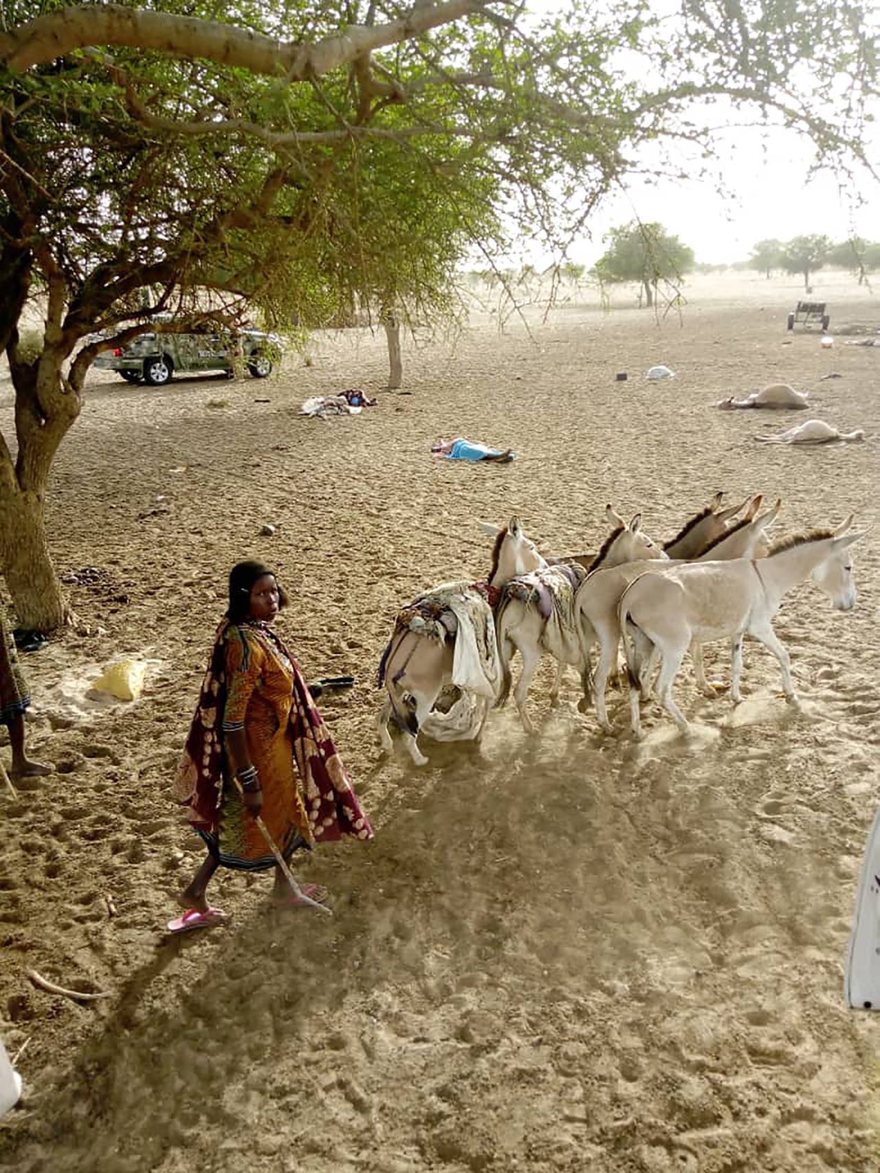 A woman tends to animals in the Nigerian village of Faduma on Wednesday, June 10. At least 81 people there were killed Tuesday <a href="https://www.cnn.com/2020/06/10/africa/boko-haram-faduma-attack/index.html" target="_blank">in an attack by suspected Boko Haram militants,</a> the Borno state government said in a statement released to CNN.