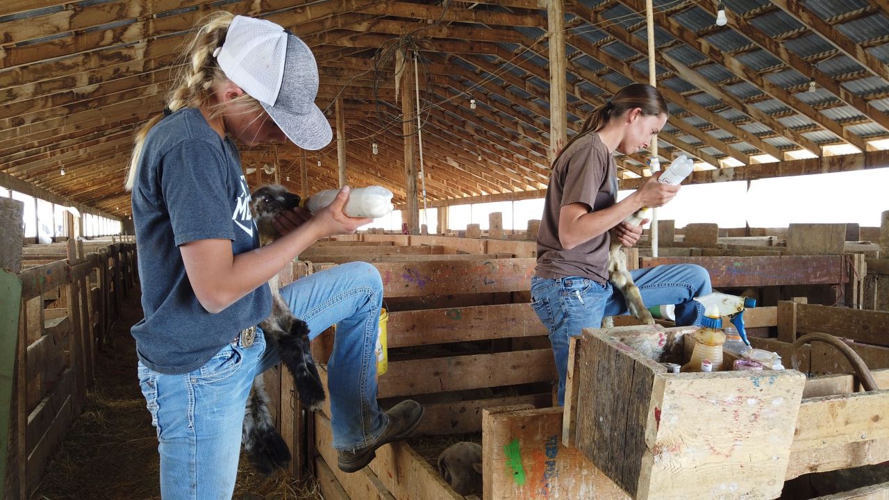 farmer covid labor shortage_00003209