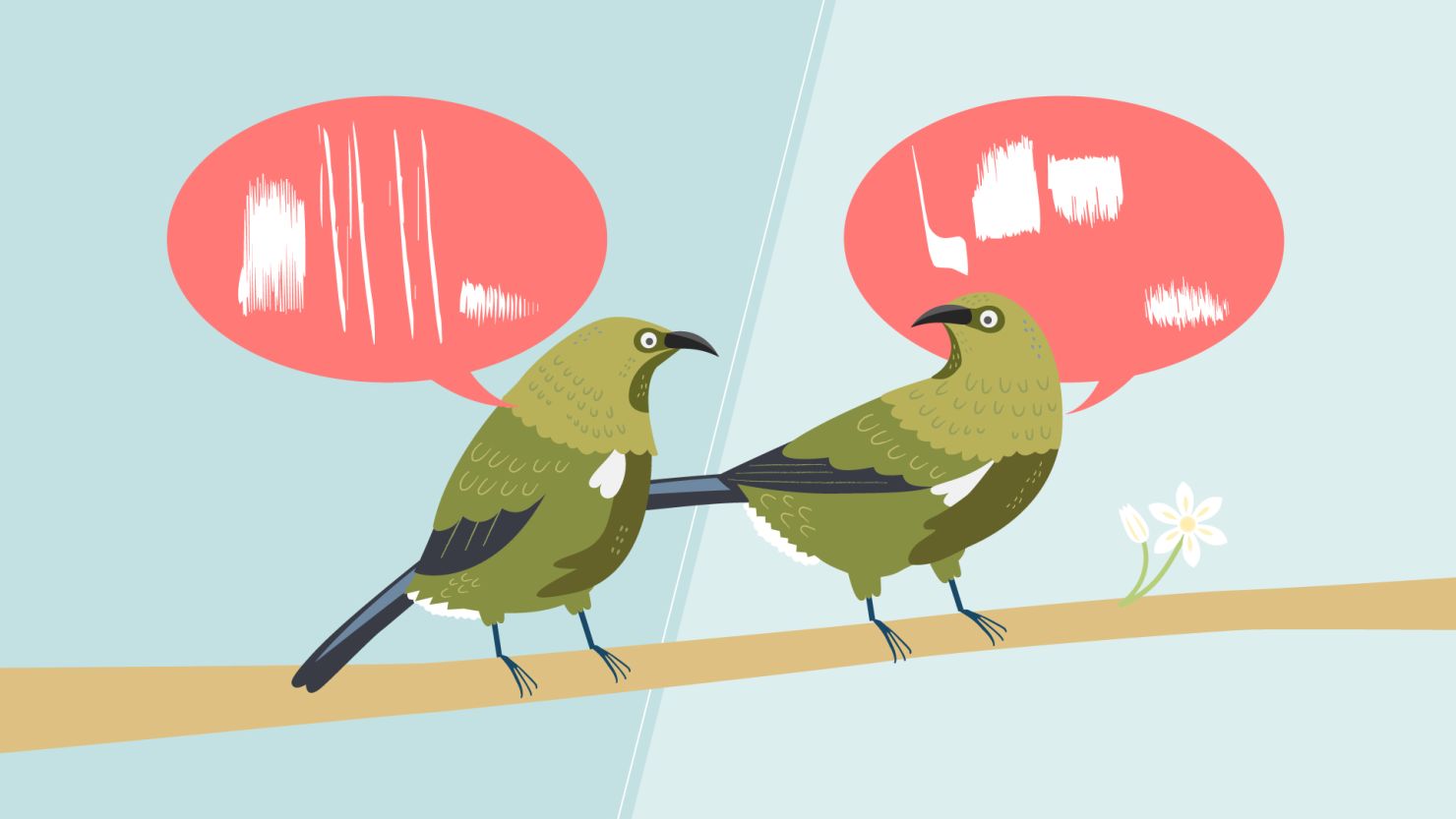 Birds aren't all singing the same song. They have dialects, too