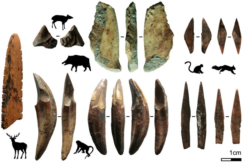 These tools, made from the bones and teeth of monkeys and smaller mammals, were recovered from Fa-Hien Lena cave in Sri Lanka. The sharp tips served as arrow points.