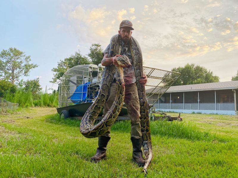 17-foot python caught in Florida | CNN