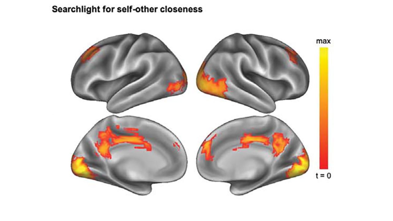 The activity patterns of these brain regions reflect self-other closeness: The closer the relationship, the more the patterns resemble each other.