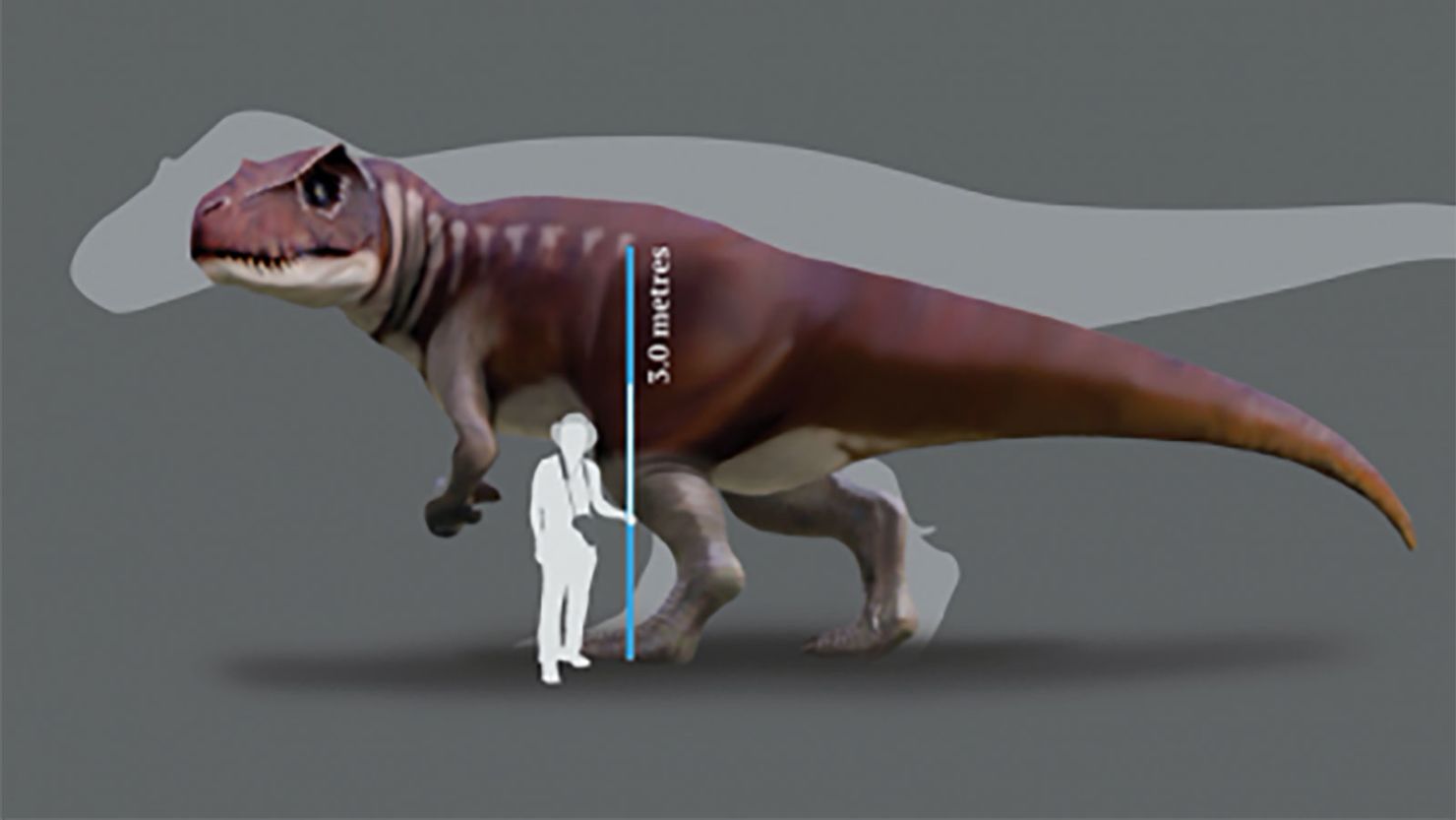 The large carnivorous dinosaur was slightly smaller than the Tyrannosaurus rex.