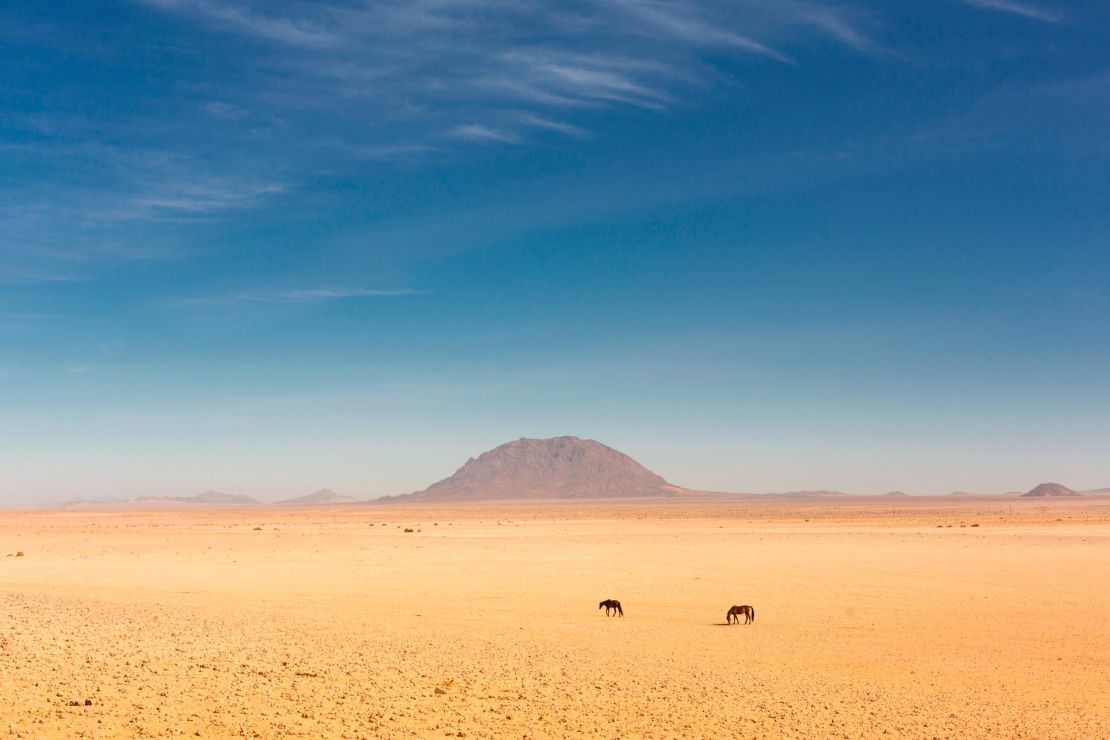 Wild horses amid the vast Namibian desert they call home.