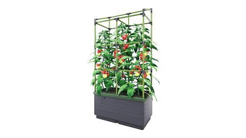 Bio Green City Jungle