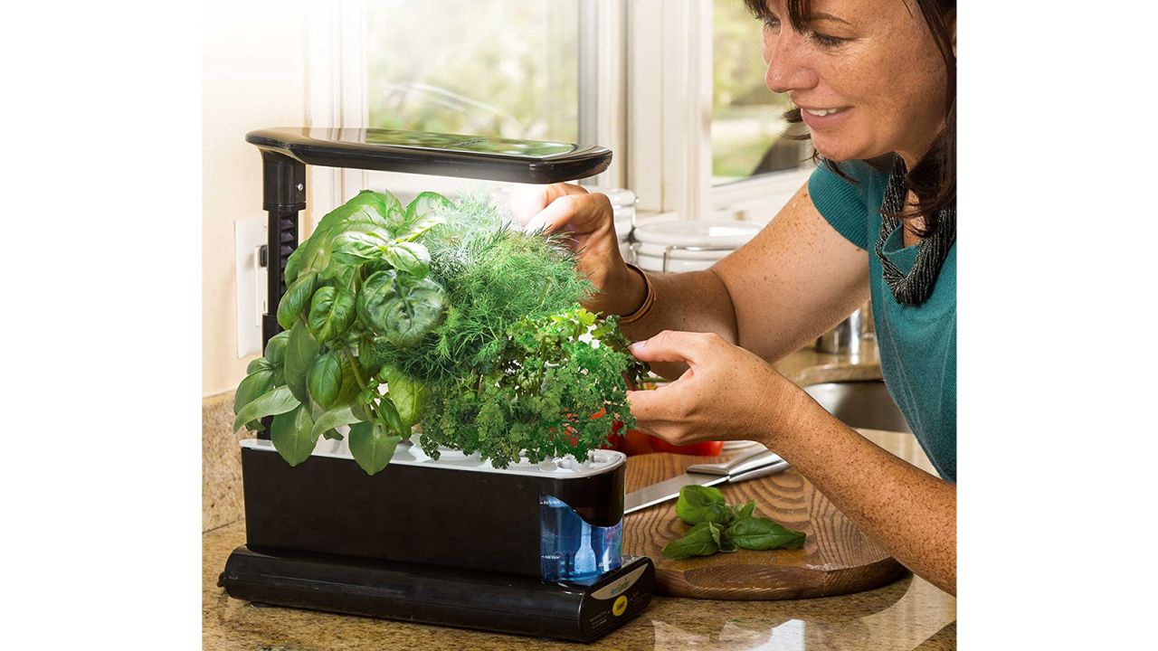 AeroGarden Sprout with Gourmet Herb Seed Kit