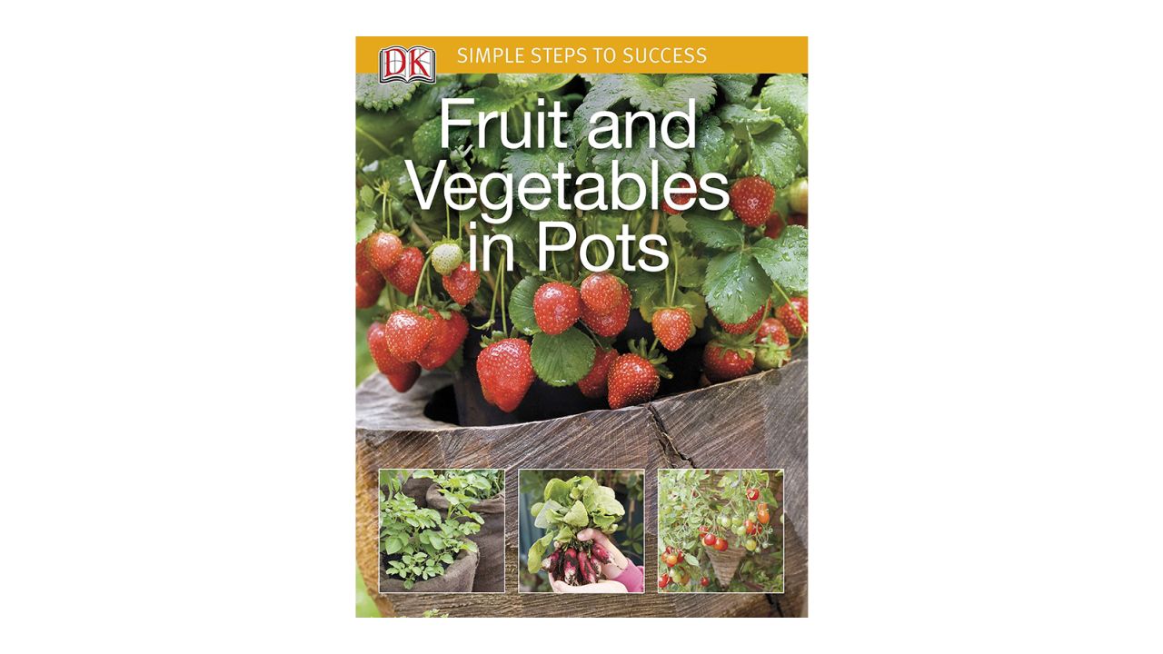 'Simple Steps to Success: Fruit and Vegetables in Pots' by DK