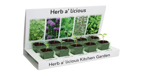 Grow Your Own Herb-a-Licious Kit