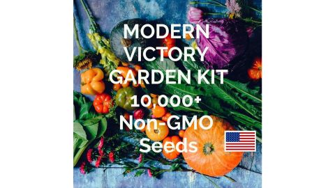 10,000+ Heirloom Seeds Vegetable Seed Pack Kit