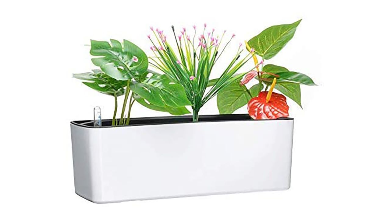 Elongated Self Watering Planter Box with Coconut Coir Soil
