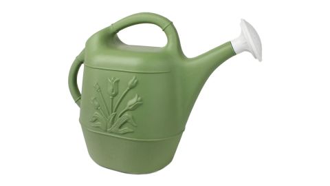 Watering Can with Tulip Design, 2-Gallon
