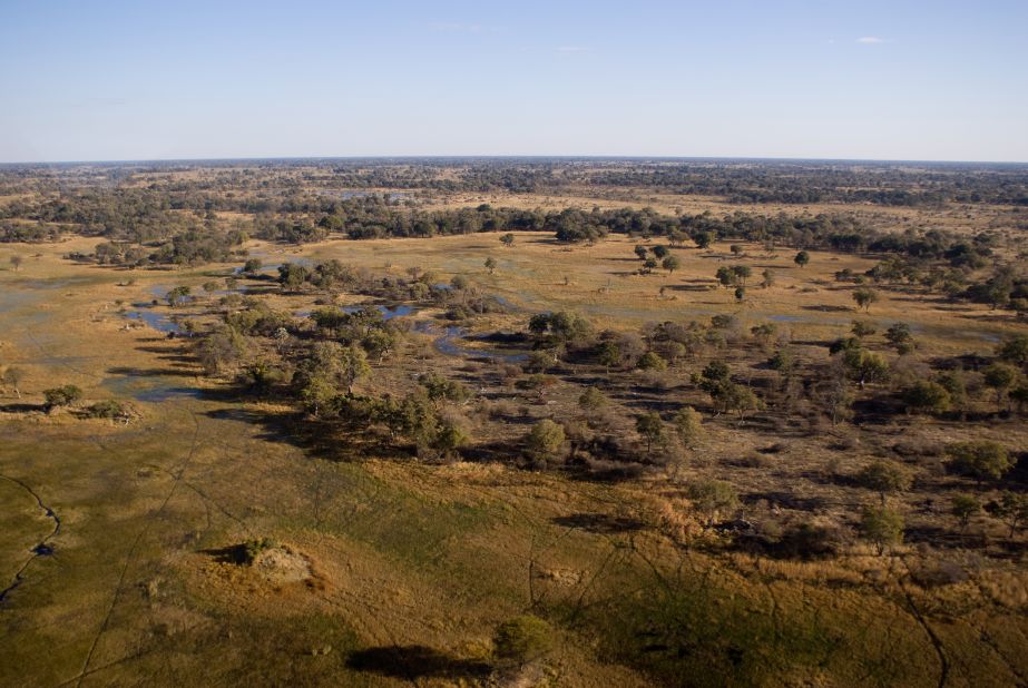 The Okavango Delta in Botswana showcases a patchy landscape where the ability to plan results in a huge survival payoff.