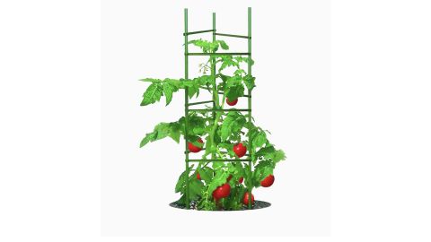 Gardeners Blue Ribbon 60-Inch Green Steel Tomato Cage