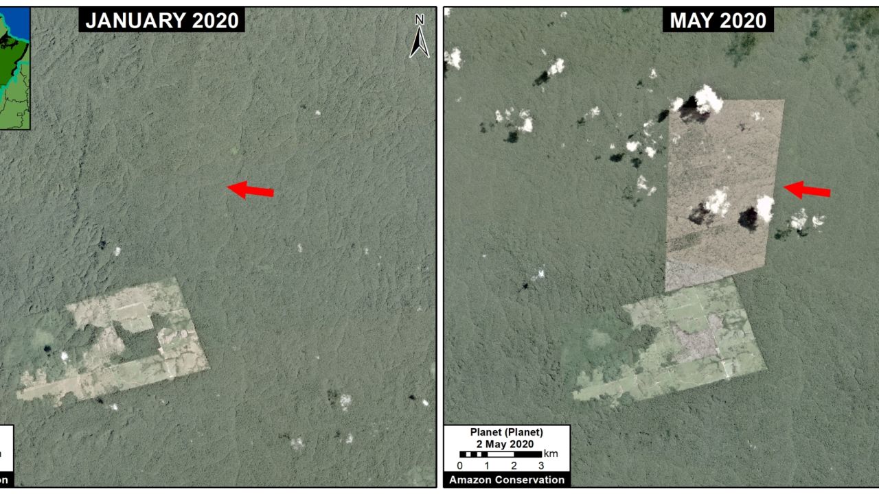 The first quarter of 2020 has seen a sharp increase in deforestation, estimated by MAAP to be around 150,000 hectares so far this year.