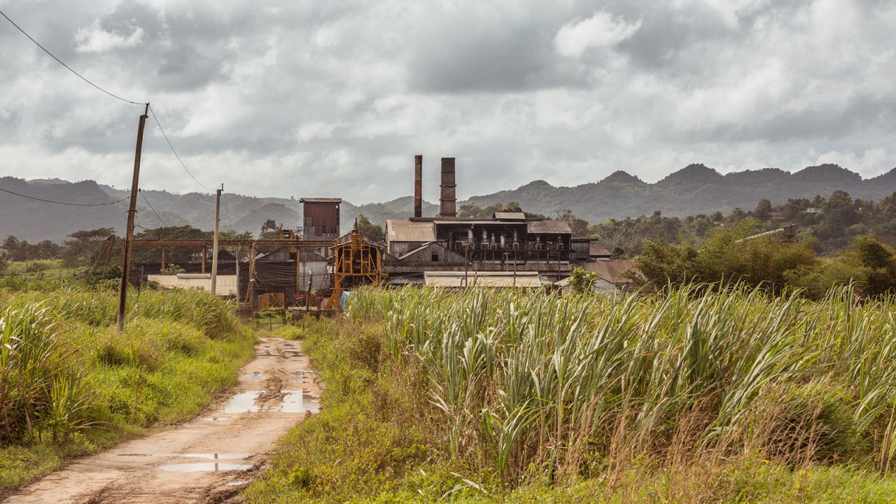 <strong>How Jamaican rum is made:</strong> Located in Jamaica's north, much care is put into producing a full-bodied, flavor-rich spirit at Long Pond Distillery. 
