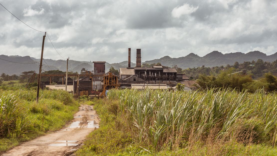 Long Pond, which Alexandre Gabriel reopened in 2017 after nearly five years of dormancy, depends on the muck pit to help with the fermentation process of the spirit. 