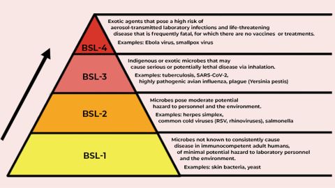 Biosafety levels are defined by how much risk is involved in working with particular pathogens.