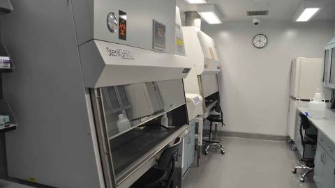Inside the lab, experiments are done under a vented hood that sucks air away to be filtered.