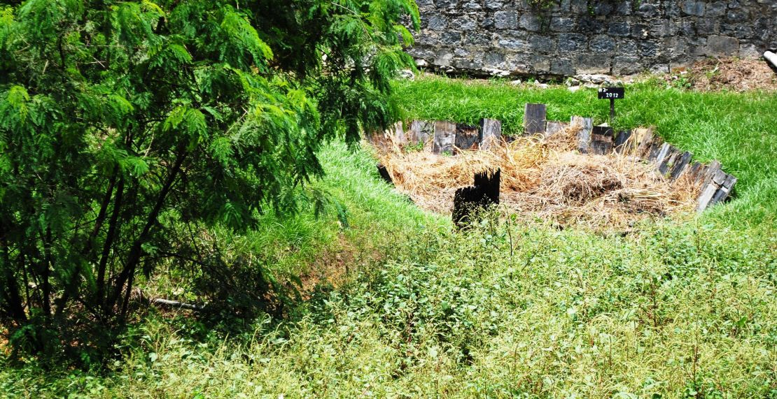 You can tour a Jamaican rum distillery, but you probably won't get a close look at the muck pit that is a key part of the rum's creation.