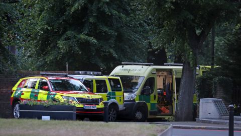 Emergency services at Forbury Gardens in Reading town center responded to the incident, where three people died. 