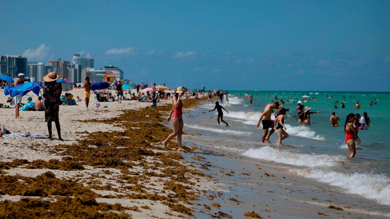 People enjoy a sunny day in Miami Beach, Florida, on June 16, 2020.