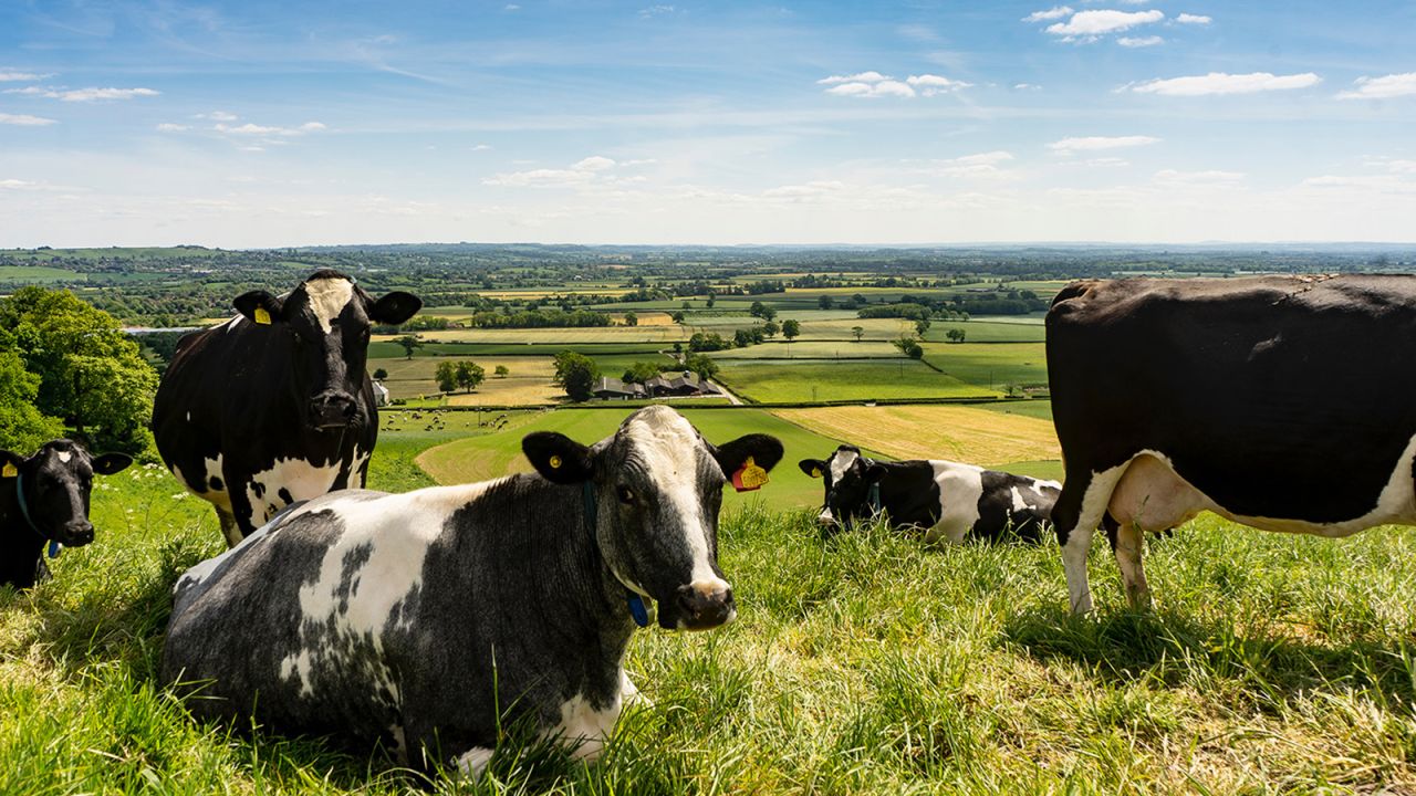 Barber's Farmhouse, in Somerset, is the world's oldest maker of cheddar cheese.