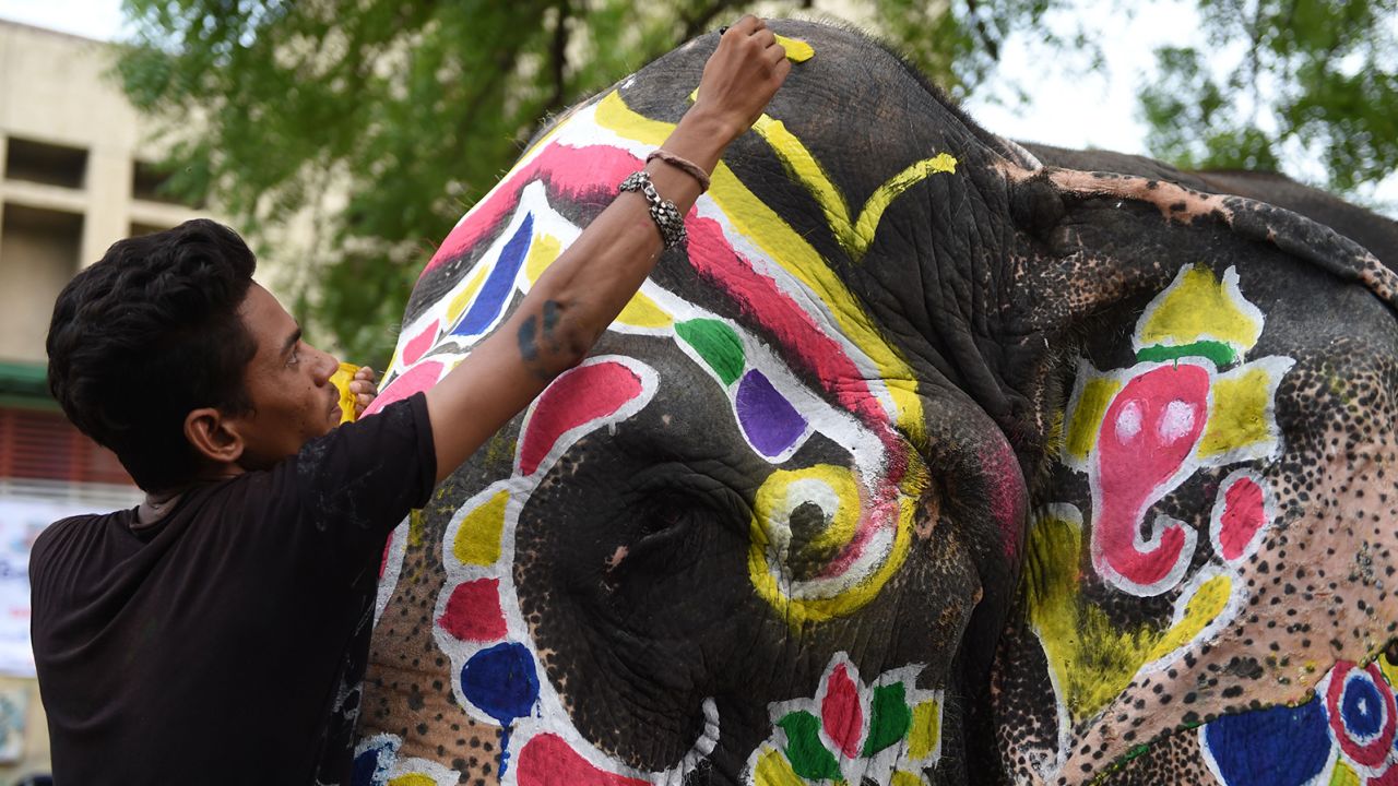 An Indian elephant is painted ahead of the annual Hindu festival Rath Yatra in Ahmedabad, Gujarat, on July 3, 2019. 