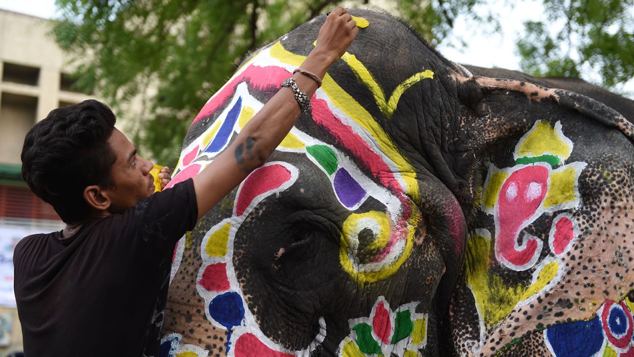 An Indian elephant is painted ahead of the annual Hindu festival Rath Yatra in Ahmedabad, Gujarat, on July 3, 2019.