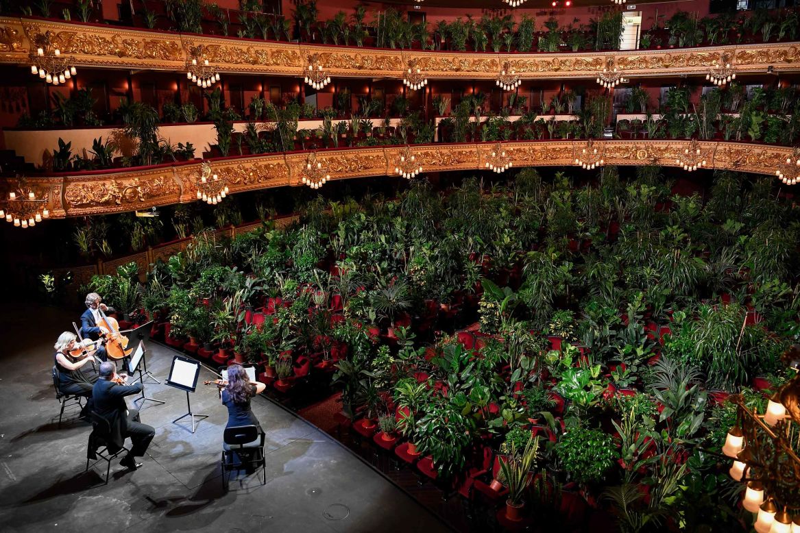 The UceLi Quartet performs for an audience of plants Monday, June 22, during a concert that was live-streamed from <a href="https://www.cnn.com/style/article/barcelona-opera-plants-scli-intl/index.html" target="_blank">the newly reopened Gran Teatre del Liceu opera house</a> in Barcelona, Spain.