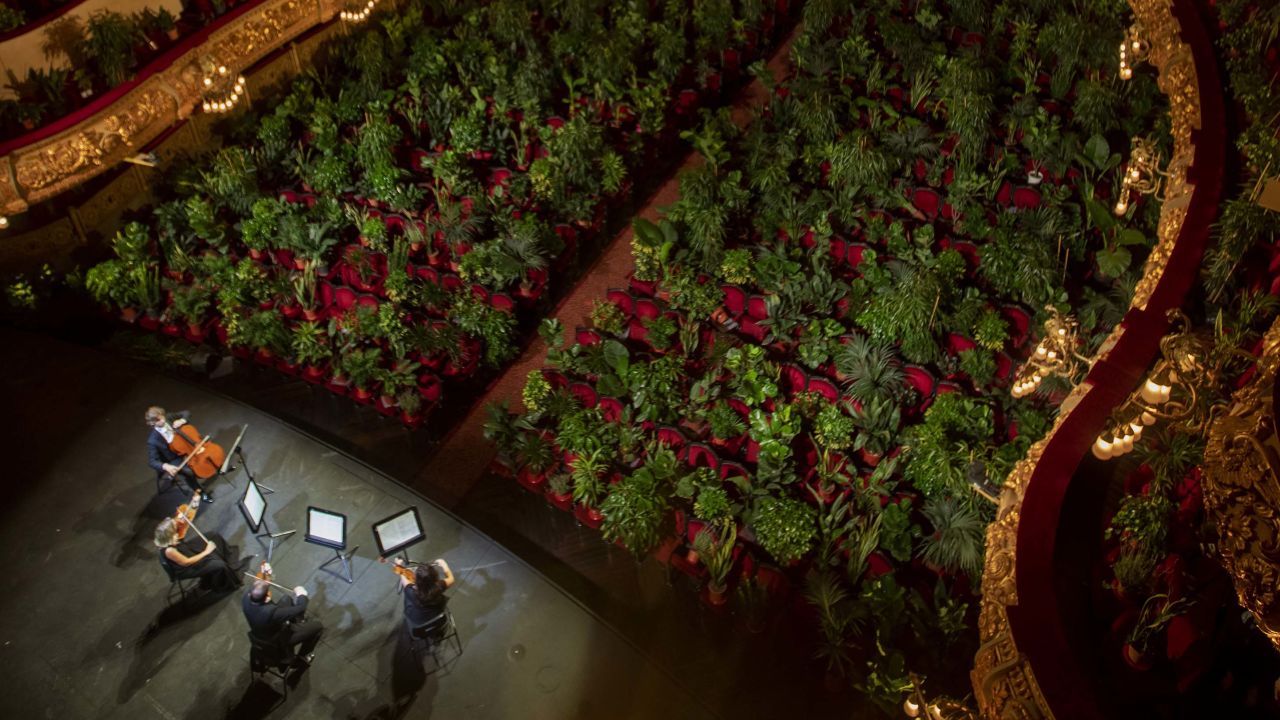 Musicians rehearse at the Gran Teatre del Liceu in Barcelona, Spain, Monday, June 22, 2020. The Gran Teatre del Liceu reopens its doors, in which the 2,292 seats of the auditorium will be occupied on this occasion by plants. It will be on 22 June, broadcast live online, when the UceLi Quartet string quartet performs Puccini's "Crisantemi" for this verdant public, brought in from local nurseries. (AP Photo/Emilio Morenatti)