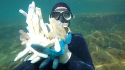 A diver shows the gloves and masks collected from the ocean. 