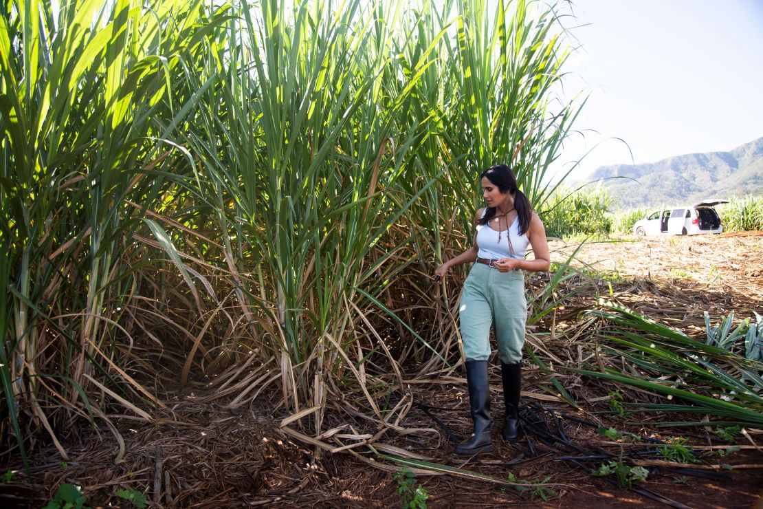 In the season's finale, Lakshmi explores the influence of Japanese culture in Honolulu. Along the way, she slings fish, rolls sushi and visits vast sugar cane fields.