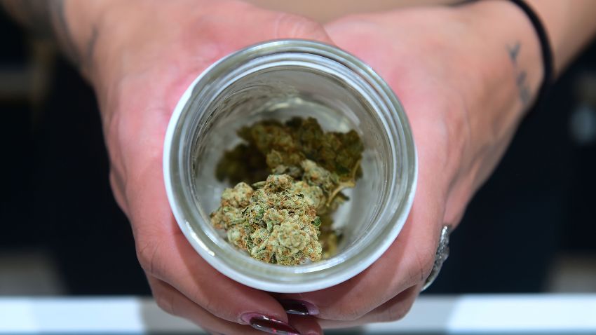 A jar of Insane OG, a strain of marijuana, is displayed at the opening of "Dr. Greenthumb", the flagship medical and recreational marijuana dispensary opened today by B Real of Cypress Hill fame in Sylmar, California on August 15, 2018. - B Real is a longtime San Fernando Valley resident and has been a prominent figure at the forefront of cannabis legalization for over two decades, the dispensary named after the Cypress Hill track "Dr Greenthumb" which has served as a rallying cry for cannabis community since its 1998 release. (Photo by Frederic J. Brown/AFP/Getty Images)