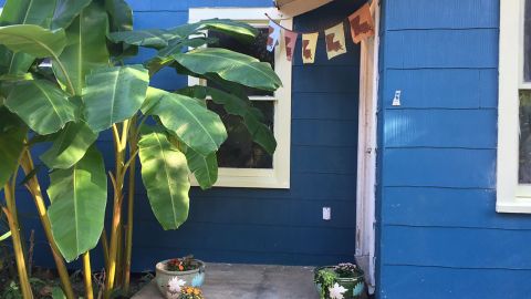 Cottage in Lafayette, Louisiana
