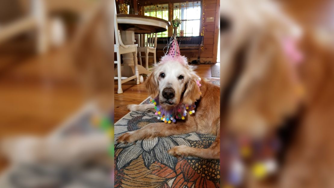 Augie with her birthday hat. 