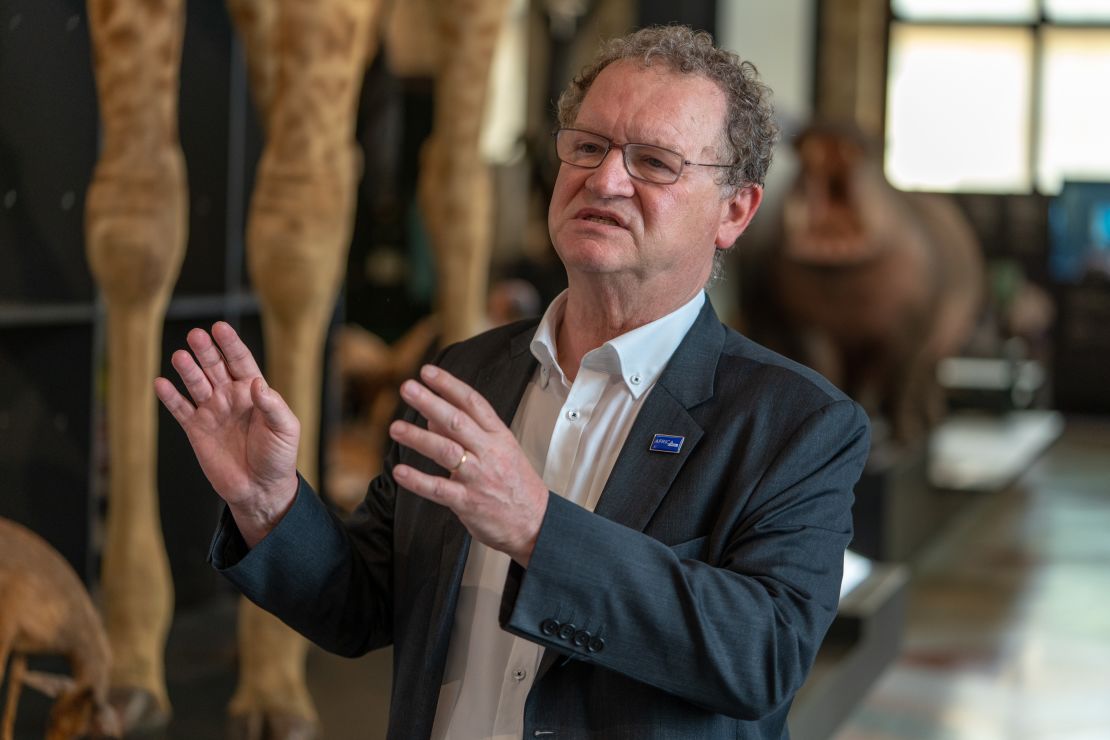 Guido Gryseels, director of the Royal Museum for Central Africa, says Belgium is suffering from a history deficit, because the country's colonial past is not taught in schools.